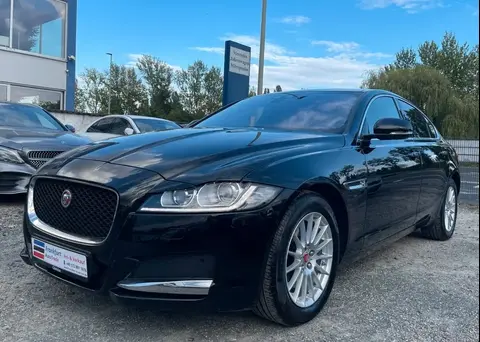 Used JAGUAR XF Diesel 2018 Ad 