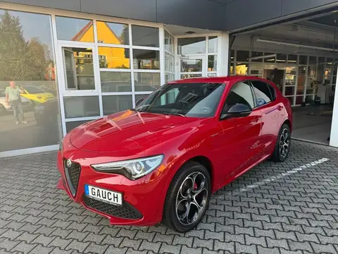 Used ALFA ROMEO STELVIO Petrol 2022 Ad 