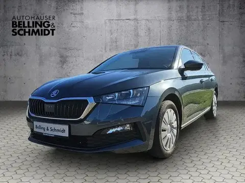 Annonce SKODA SCALA Essence 2020 d'occasion 