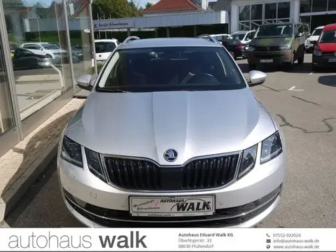 Used SKODA OCTAVIA Diesel 2019 Ad 