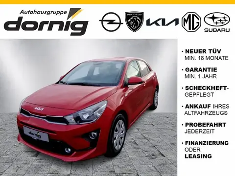 Annonce KIA RIO Essence 2023 d'occasion 