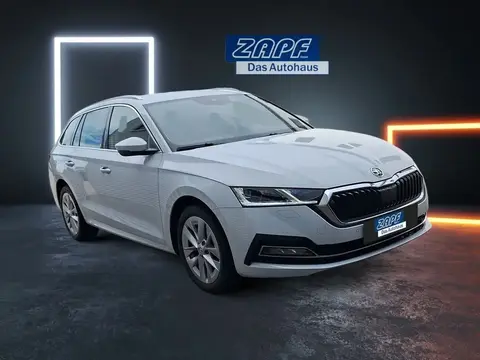 Annonce SKODA OCTAVIA Diesel 2023 d'occasion 