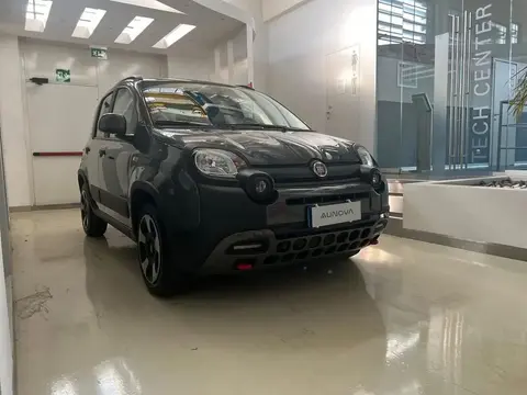 Used FIAT PANDA Hybrid 2023 Ad 