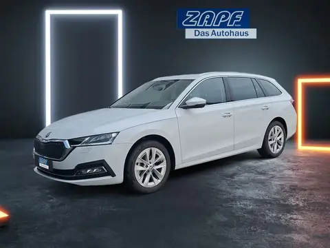 Annonce SKODA OCTAVIA Diesel 2023 d'occasion 