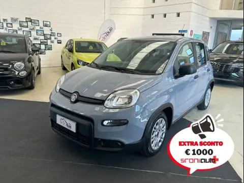 Annonce FIAT PANDA Hybride 2023 d'occasion 