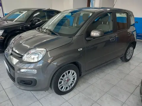 Used FIAT PANDA Hybrid 2022 Ad 