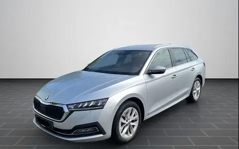 Used SKODA OCTAVIA Diesel 2021 Ad 