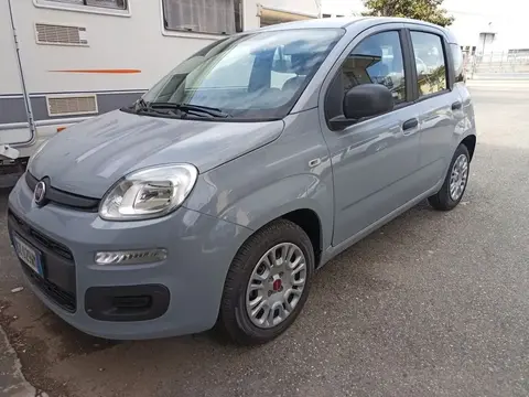 Annonce FIAT PANDA Hybride 2022 d'occasion 