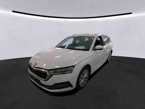 Used SKODA OCTAVIA Diesel 2022 Ad 