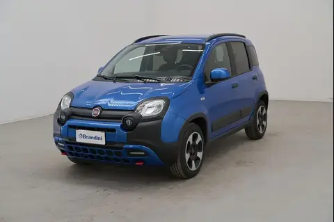 Annonce FIAT PANDA Hybride 2023 d'occasion 