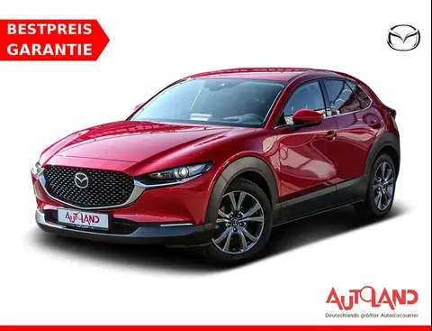 Annonce MAZDA CX-30 Hybride 2020 d'occasion 