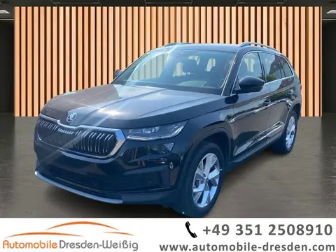 Used SKODA KODIAQ Petrol 2024 Ad 