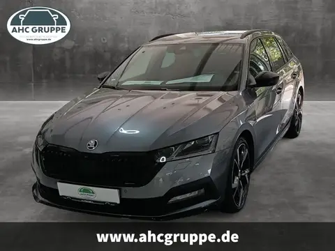 Annonce SKODA OCTAVIA Diesel 2024 d'occasion 