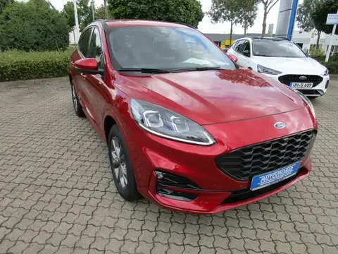 Used FORD KUGA Hybrid 2024 Ad 