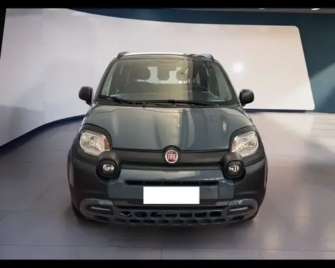 Annonce FIAT PANDA Hybride 2021 d'occasion 