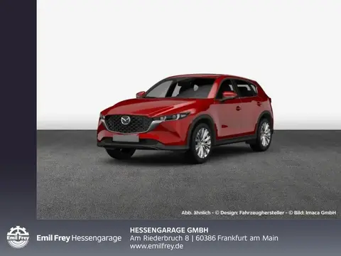 Annonce MAZDA CX-5 Diesel 2024 d'occasion 