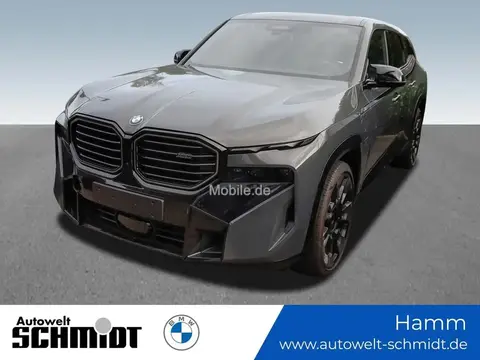 Annonce BMW XM Hybride 2024 d'occasion 