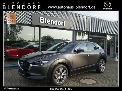 Annonce MAZDA CX-30 Essence 2021 d'occasion 