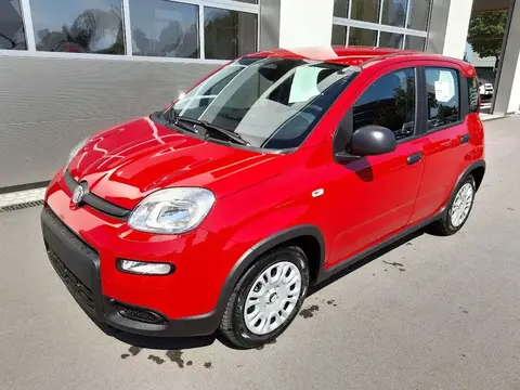 Used FIAT PANDA Petrol 2024 Ad 