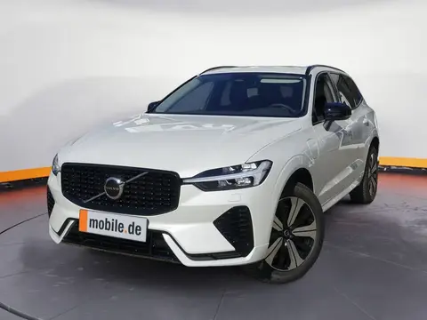 Used VOLVO XC60 Hybrid 2023 Ad 