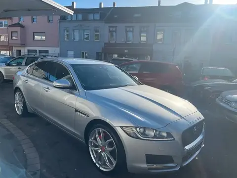 Annonce JAGUAR XF Diesel 2019 d'occasion 