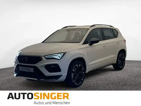 Annonce CUPRA ATECA Essence 2024 d'occasion 