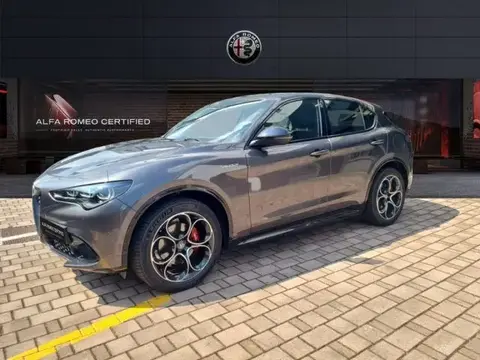 Used ALFA ROMEO STELVIO Petrol 2023 Ad 