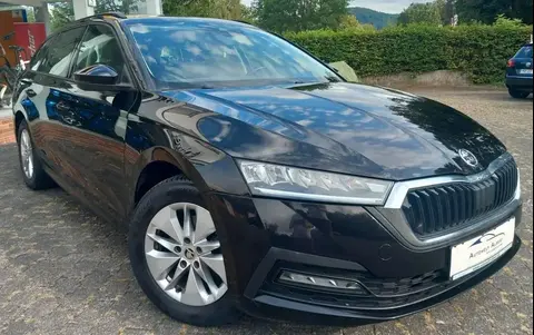 Used SKODA OCTAVIA Diesel 2020 Ad 