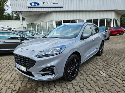 Used FORD KUGA Hybrid 2024 Ad 