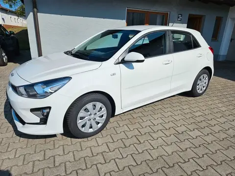 Annonce KIA RIO Essence 2023 d'occasion 