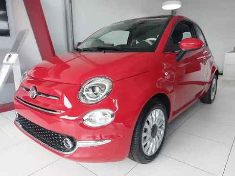 Used FIAT 500 Petrol 2024 Ad 