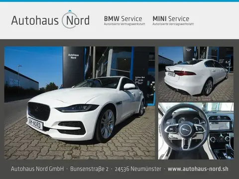 Used JAGUAR XE Petrol 2022 Ad 