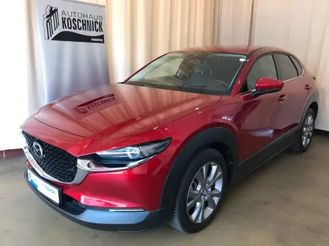 Annonce MAZDA CX-30 Essence 2020 d'occasion 