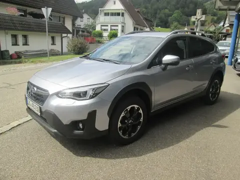 Annonce SUBARU XV Essence 2023 d'occasion 