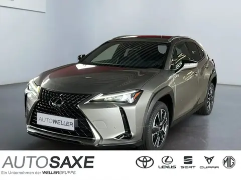 Annonce LEXUS UX Hybride 2023 d'occasion 