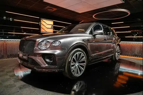 Annonce BENTLEY BENTAYGA Hybride 2023 d'occasion 