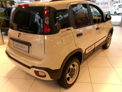 Annonce FIAT PANDA Essence 2024 d'occasion 