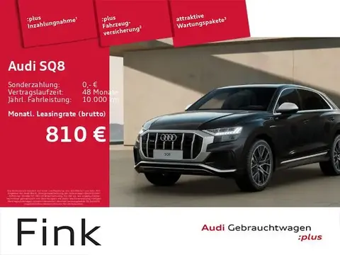 Annonce AUDI SQ8 Essence 2024 d'occasion 