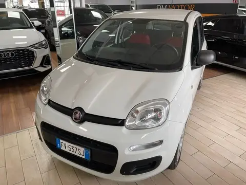 Annonce FIAT PANDA Essence 2019 d'occasion 