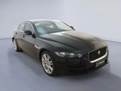 Used JAGUAR XE Diesel 2019 Ad 