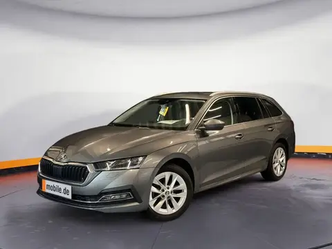 Used SKODA OCTAVIA Diesel 2023 Ad 