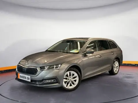 Used SKODA OCTAVIA Diesel 2023 Ad 