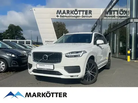 Annonce VOLVO XC90 Diesel 2021 d'occasion 