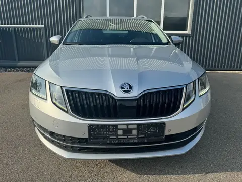 Used SKODA OCTAVIA Diesel 2019 Ad 