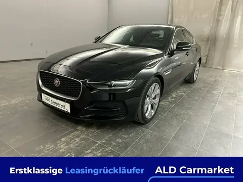 Used JAGUAR XE Petrol 2020 Ad 