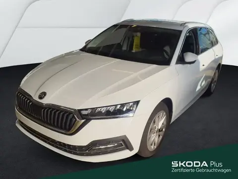 Annonce SKODA OCTAVIA Essence 2024 d'occasion 