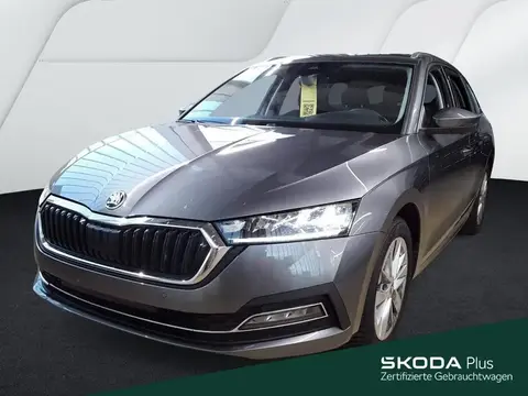 Annonce SKODA OCTAVIA Essence 2024 d'occasion 