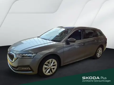 Used SKODA OCTAVIA Petrol 2024 Ad 