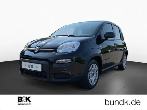 Used FIAT PANDA Petrol 2024 Ad 