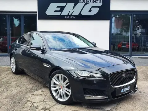 Used JAGUAR XF Diesel 2016 Ad 